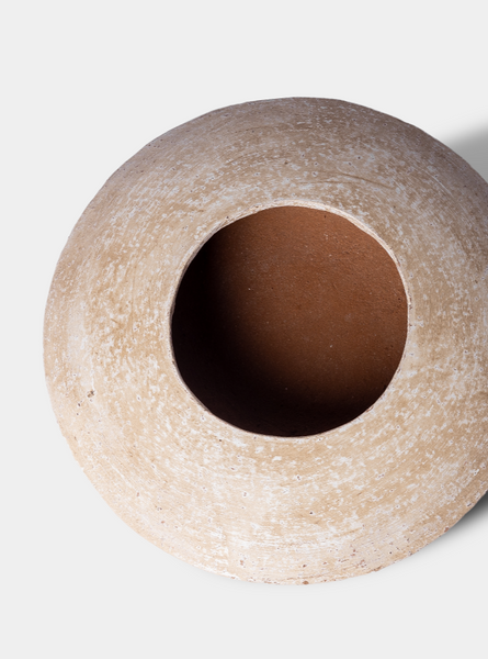 IMPERFECT Sandollar Vase
